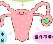 女性有染色体罗氏易位在常州市做试管养囊成功率高吗？试管移植后需要保胎吗！