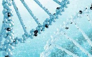 试管婴儿做内膜活检的意义可不小，内膜如何全靠它决断