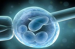 深圳公立医院做试管婴儿的流程安排是怎么样的？成功率如何？