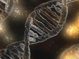 促排阶段取不到卵子是怎么回事？