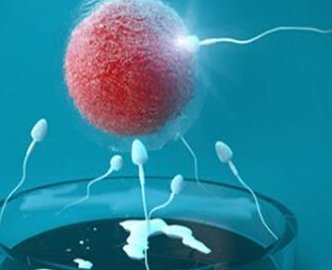 试管婴儿d3冻胚移植最晚几天着床？